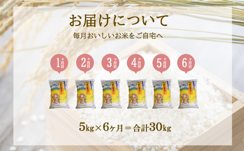 【半年定期便】えびの産 ひのひかり 5kg×6ヶ月 合計 30kg 定期便 米 お米 白米 ヒノヒカリ おにぎり お弁当 九州 宮崎県 特選米 冷めても美味しい 送料無料