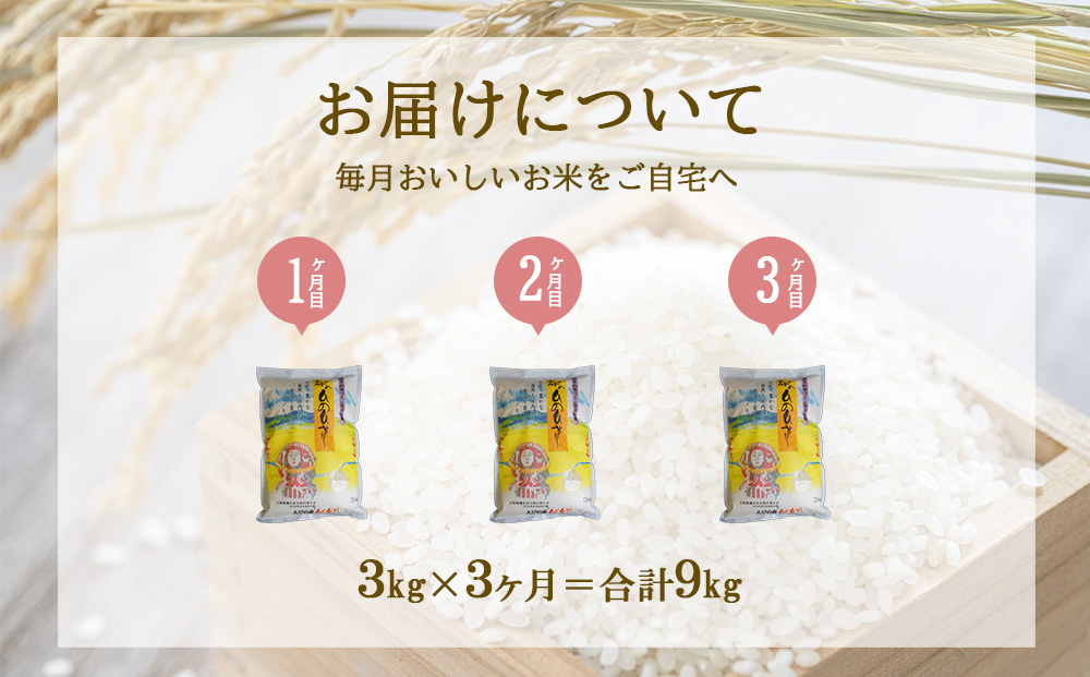 【3ヶ月定期便】えびの産 ひのひかり 3kg×3ヶ月 合計 9kg 定期便 米 お米 白米 ヒノヒカリ おにぎり お弁当 九州 宮崎県 特選米 冷めても美味しい 送料無料