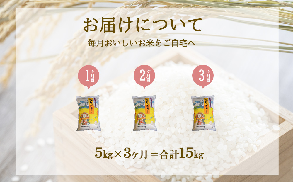 【3回定期便】米 えびの産 ひのひかり 5kg×3ヶ月 合計 15kg 米 お米 精米 白米 ご飯 ヒノヒカリ 国産 宮崎県産 特選米 九州産 送料無料 コメ おにぎり つや 艶 ツヤ たまごかけごはん 卵かけご飯 卵かけごはん TKG 冷めても美味しい