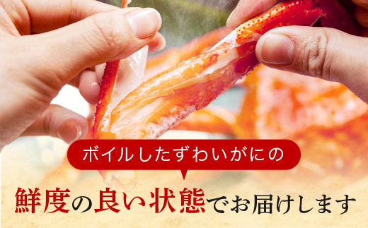 【12月25日決済確定分まで年内発送】  訳あり ボイル ずわいがに 総重量 1kg (内容量 900g)規格外 不揃い 傷 足 訳アリ わけあり 脚折れ 2L～3L 大サイズ 弥七商店 かに弥 ずわい蟹 ズワイガニ かに カニ 蟹 カニ足 脚 ずわい 鍋 数量限定