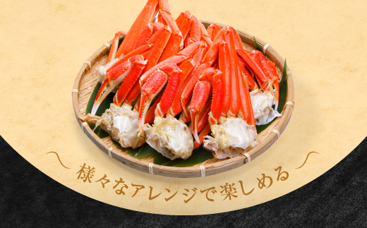 【12月25日決済確定分まで年内発送】  訳あり ボイル ずわいがに 総重量 1kg (内容量 900g)規格外 不揃い 傷 足 訳アリ わけあり 脚折れ 2L～3L 大サイズ 弥七商店 かに弥 ずわい蟹 ズワイガニ かに カニ 蟹 カニ足 脚 ずわい 鍋 数量限定