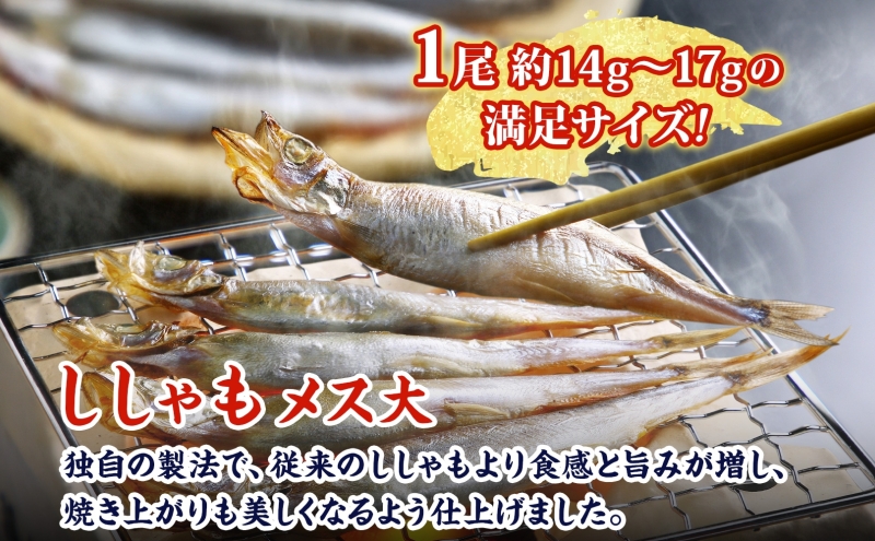 北海道産 ししゃもメス 大60尾(30尾×2箱) 北海道 稀少 魚 シシャモ メス おつまみ 魚貝類 海鮮 干物 本物 人気 希少 塩 味付け 脂のり 旨み 美味しい 大きい グルメ 惣菜 酒の肴 国産 北海道 赤平市