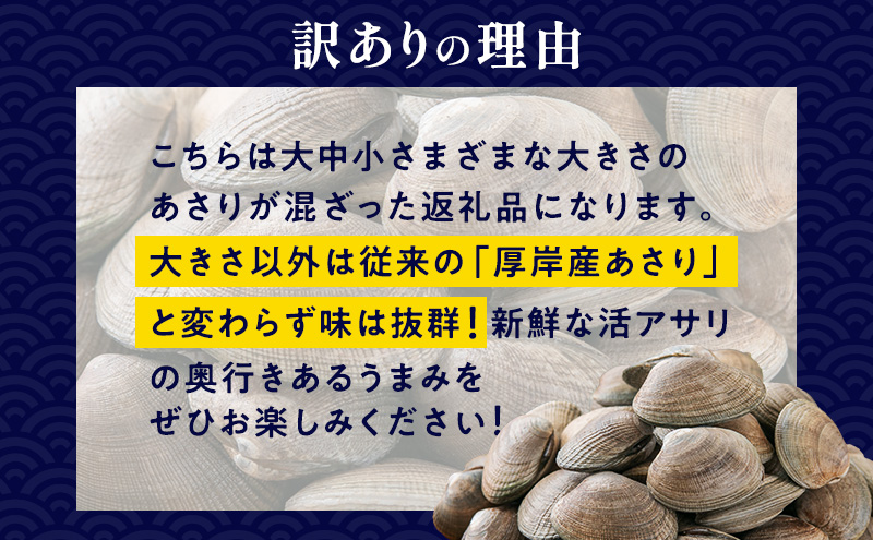 1月発送 北海道 厚岸産 訳あり 活あさり 500g×2 (合計1kg) アサリ 魚貝 海鮮 大粒 美味しい 栄養 旨み 砂出し 水洗い 冷蔵 冷凍保存可能 便利