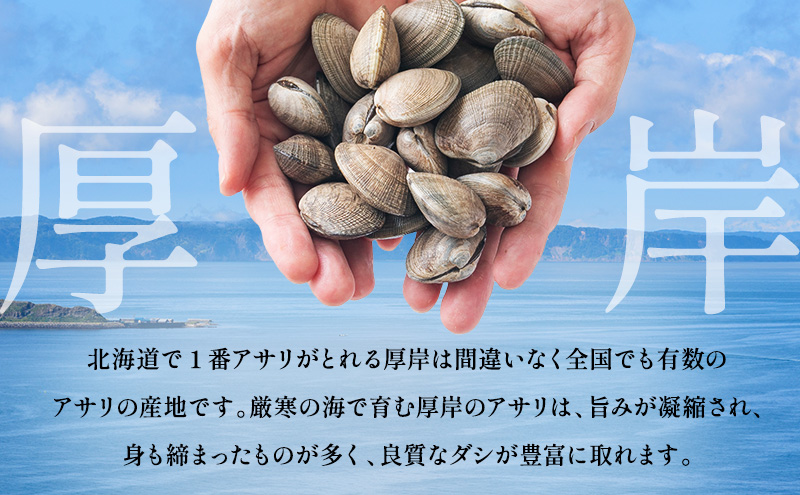 2月発送 北海道 厚岸産 訳あり 活あさり 500g×2 (合計1kg) アサリ 魚貝 海鮮 大粒 美味しい 栄養 旨み 砂出し 水洗い 冷蔵 冷凍保存可能 便利