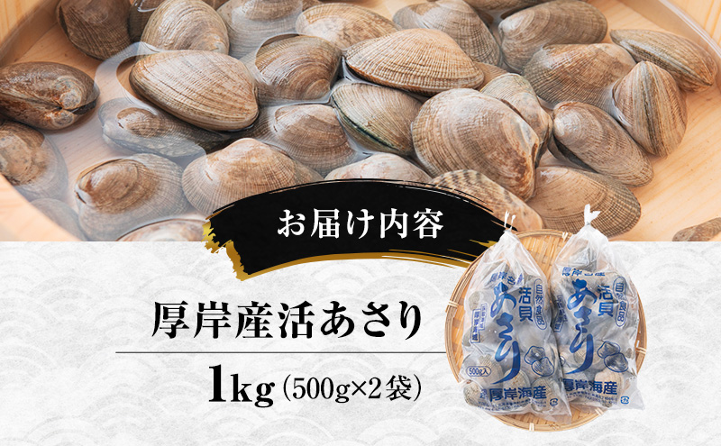 2月発送 北海道 厚岸産 訳あり 活あさり 500g×2 (合計1kg) アサリ 魚貝 海鮮 大粒 美味しい 栄養 旨み 砂出し 水洗い 冷蔵 冷凍保存可能 便利