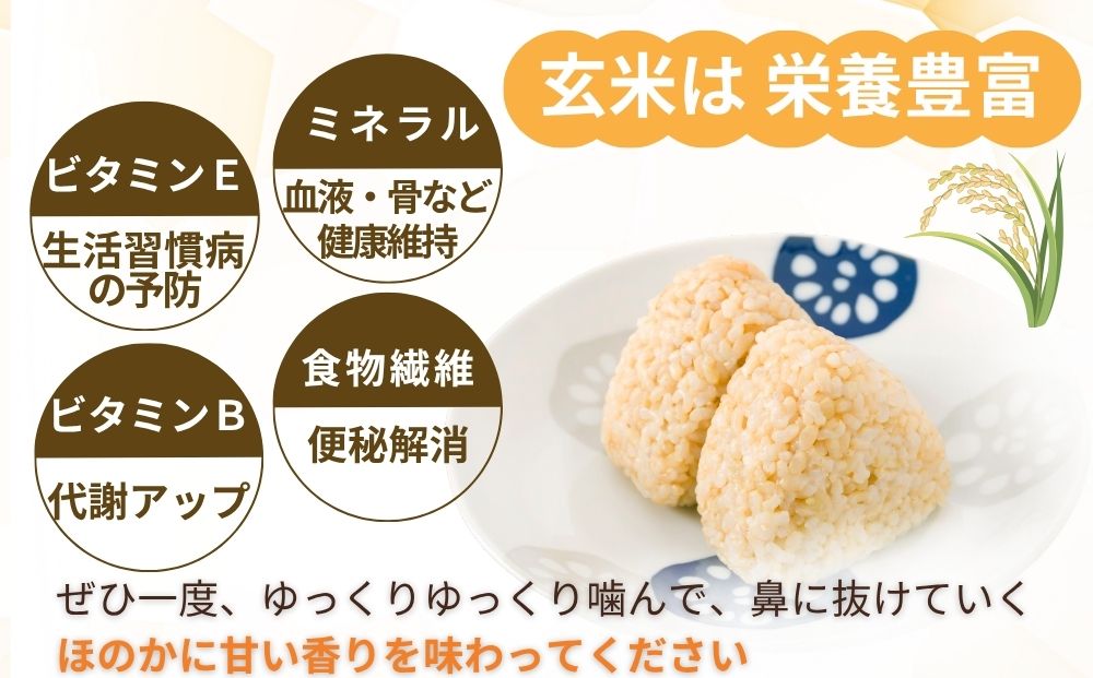 定期3回】特別栽培米 ＜令和7年産 玄米 5kg＞ / ふるさと納税 栽培期間