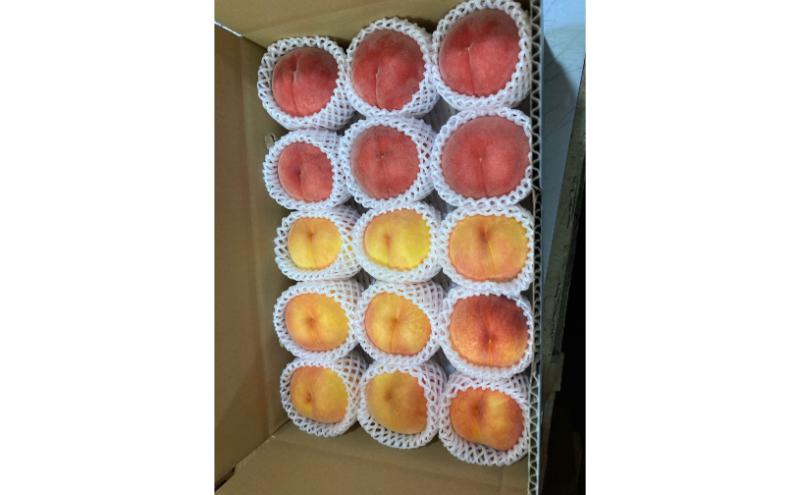 品種おまかせ（白鳳、あかつき、なつっこなど）秀品 約3kg 6～11玉 桃 もも 果物 信州 長野