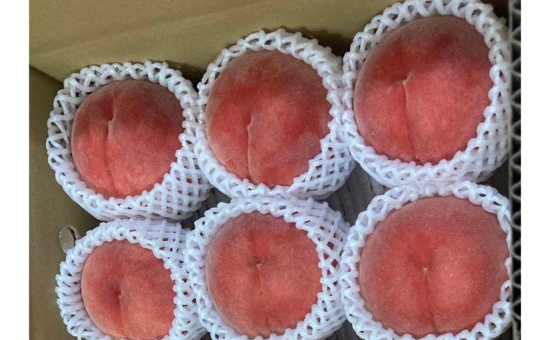 川中島白桃 秀品 約3kg 6～11玉 桃 もも 果物 信州 長野