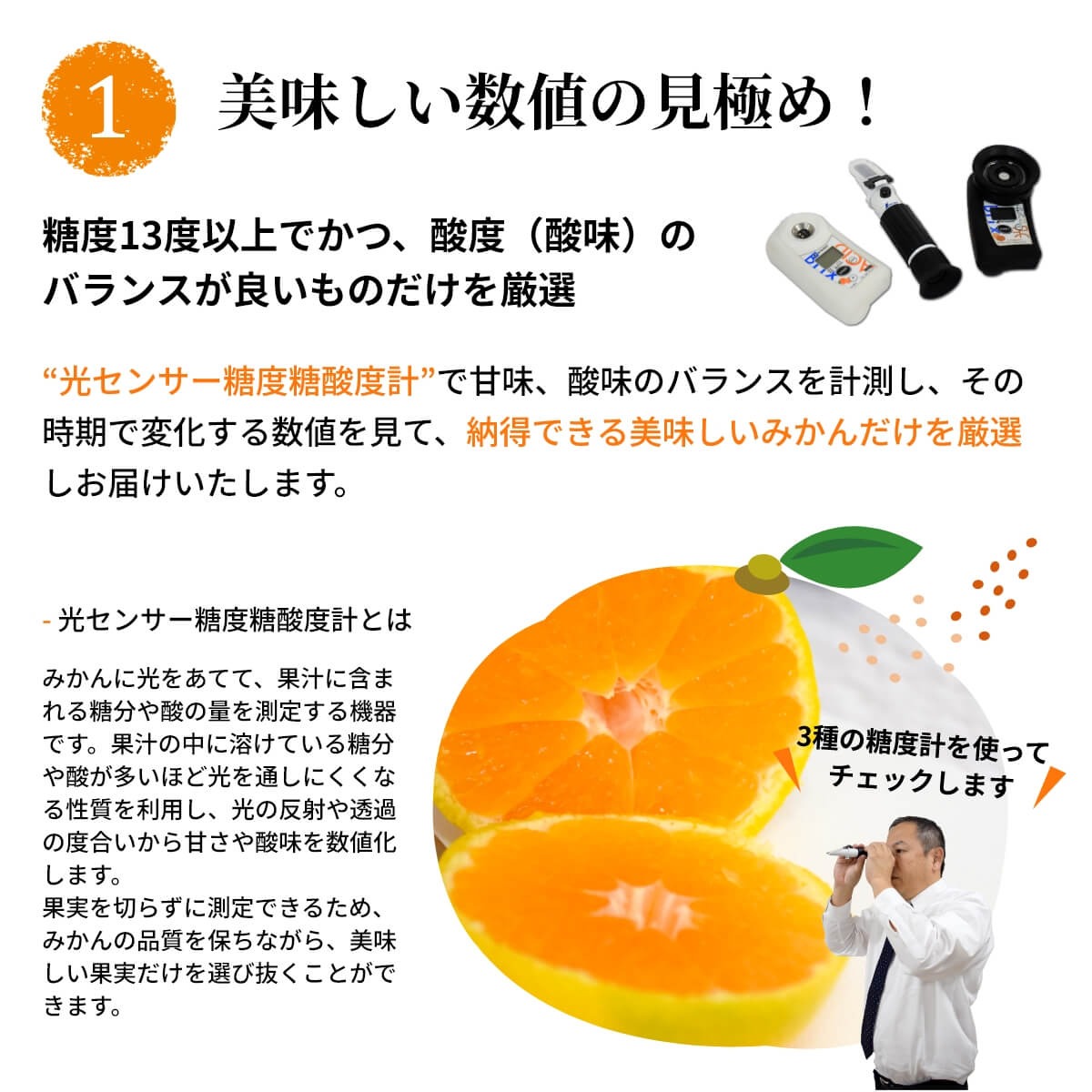 U6311_高糖度13度以上 有田ほまれ Мサイズ 24玉 /和歌山県有田みかん/ありだ みかん