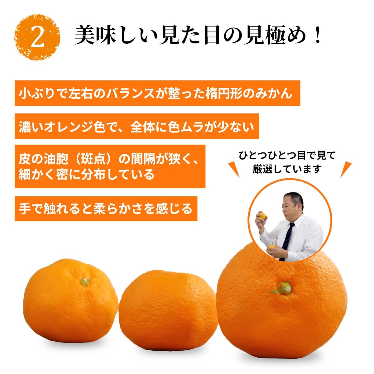 U6311_高糖度13度以上 有田ほまれ Мサイズ 24玉 /和歌山県有田みかん/ありだ みかん