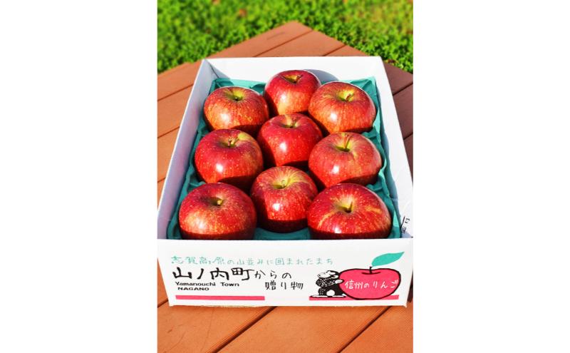 シナノリップ 秀品 約3kg 7～11玉 りんご 果物 信州 長野