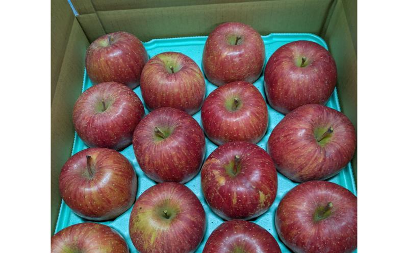 シナノスイート 訳あり家庭用 約5kg 12～23玉 りんご 果物 訳あり 信州 長野