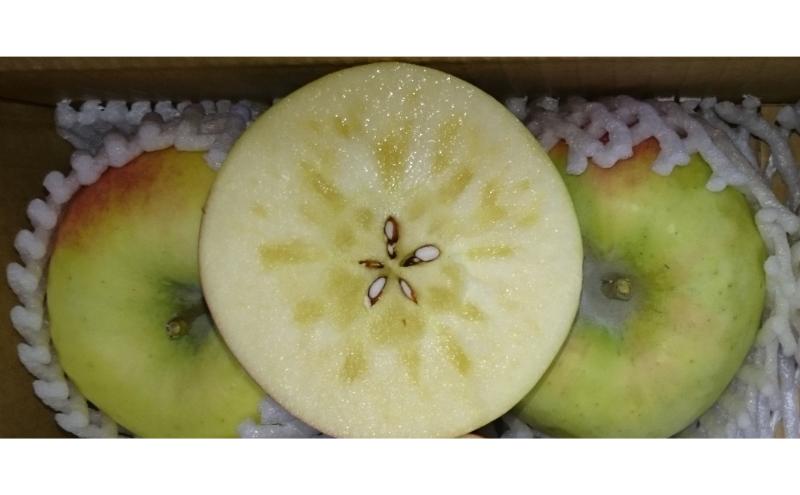 ぐんま名月 秀品 約3kg 7～11玉 りんご 果物 信州 長野