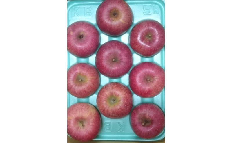 サンふじ 秀品 約3kg 7～11玉 りんご ふじ 果物 信州 長野