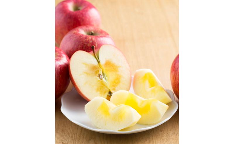 サンふじ 秀品 約3kg 7～11玉 りんご ふじ 果物 信州 長野