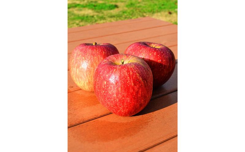 サンふじ 秀品 約3kg 7～11玉 りんご ふじ 果物 信州 長野