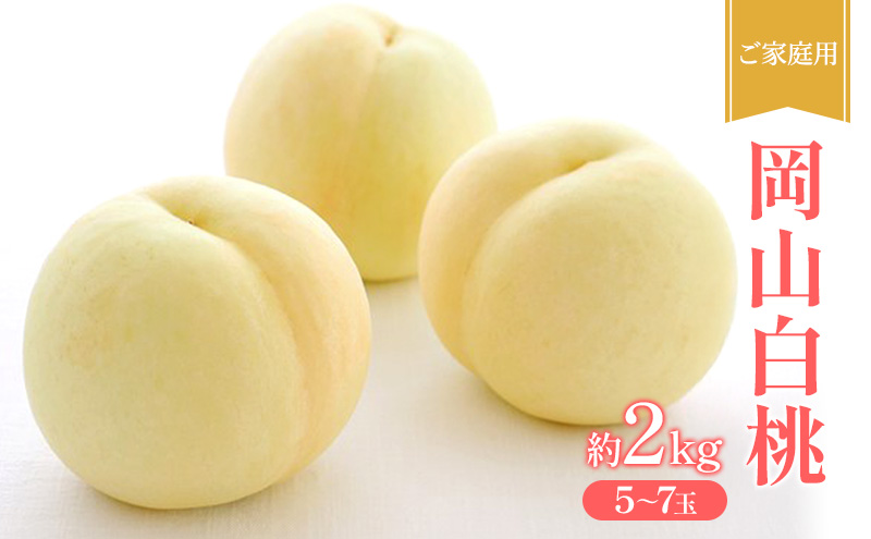 桃 2026年 先行受付 ご家庭用 岡山 白桃 約2kg (5～7玉) フルーツ 果物 岡山 赤磐市