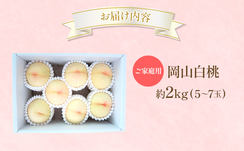 桃 2026年 先行受付 ご家庭用 岡山 白桃 約2kg (5～7玉) フルーツ 果物 岡山 赤磐市