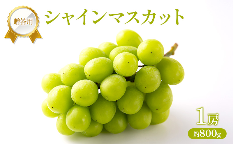 �y���R���Ԕ֎s�z�Ԃǂ� 2026�N ��s��t �����p �V���C���}�X�J�b�g 1�[ ��800g �t���[�c �ʕ� ���R �Ԕ֎s