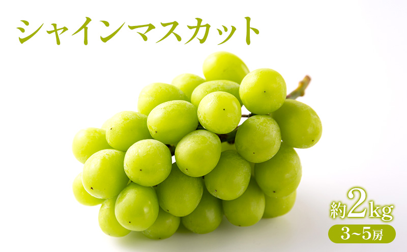 �y���R���Ԕ֎s�z�Ԃǂ� 2026�N ��s��t �V���C���}�X�J�b�g ��2kg  (3�`5�[) �t���[�c �ʕ� ���R �Ԕ֎s