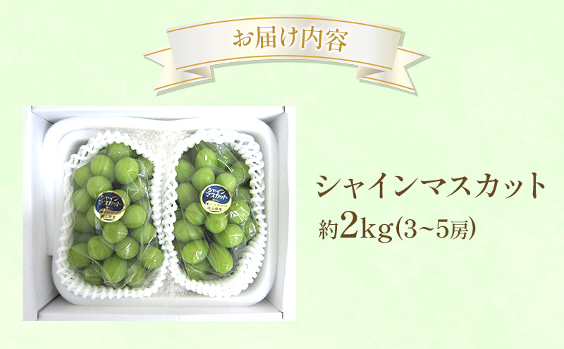 ぶどう 2026年 先行受付 シャインマスカット 約2kg  (3～5房) フルーツ 果物 岡山 赤磐市