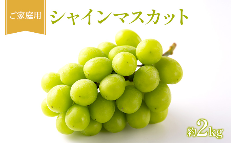 �y���R���Ԕ֎s�z�Ԃǂ� 2026�N ��s��t ���ƒ�p �V���C���}�X�J�b�g ��2kg �t���[�c �ʕ� ���R �Ԕ֎s