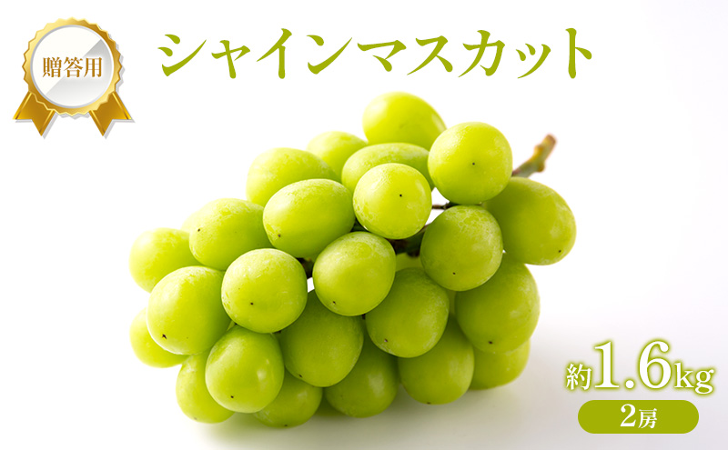 �y���R���Ԕ֎s�z�Ԃǂ� 2026�N ��s��t �����p �V���C���}�X�J�b�g ��1.6kg (2�[) �t���[�c �ʕ� ���R �Ԕ֎s