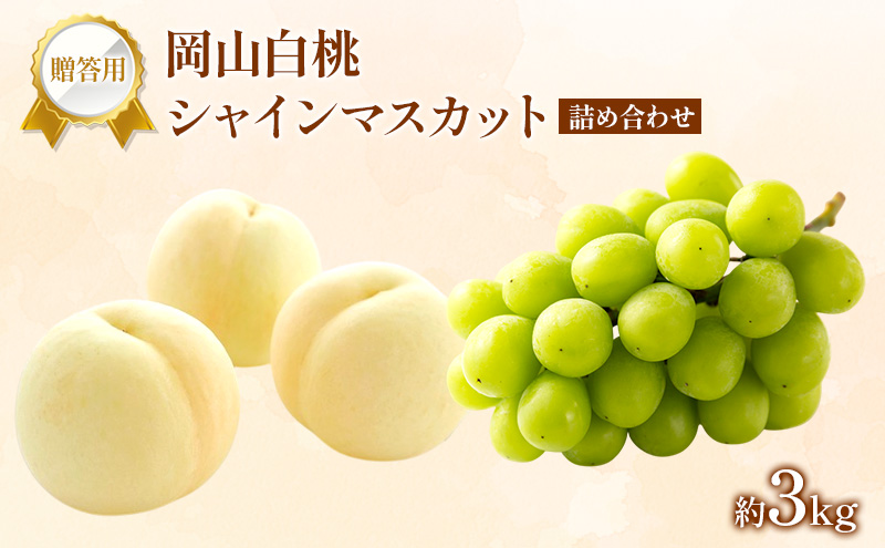桃 ぶどう 2026年 先行受付 贈答用 白桃 シャインマスカット 詰め合わせ 約3kg フルーツ 果物 岡山 赤磐市
