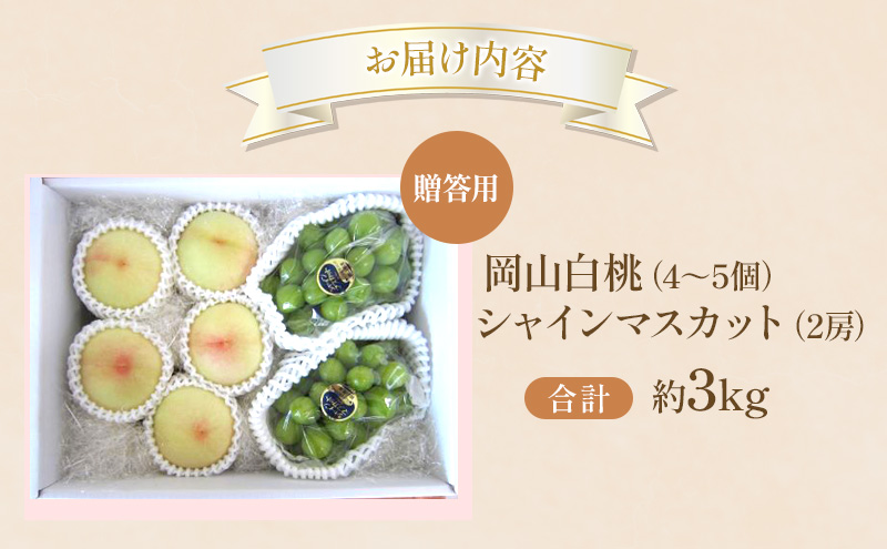 桃 ぶどう 2026年 先行受付 贈答用 白桃 シャインマスカット 詰め合わせ 約3kg フルーツ 果物 岡山 赤磐市