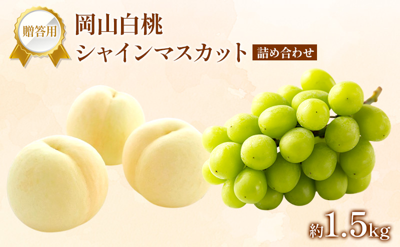 桃 ぶどう 2026年 先行受付 贈答用 白桃 シャインマスカット 詰め合わせ 約1.5kg フルーツ 果物 岡山 赤磐市