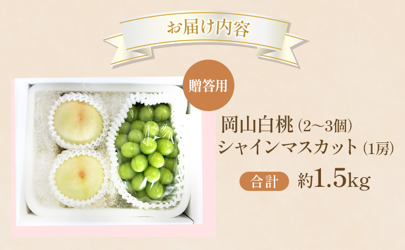 桃 ぶどう 2026年 先行受付 贈答用 白桃 シャインマスカット 詰め合わせ 約1.5kg フルーツ 果物 岡山 赤磐市