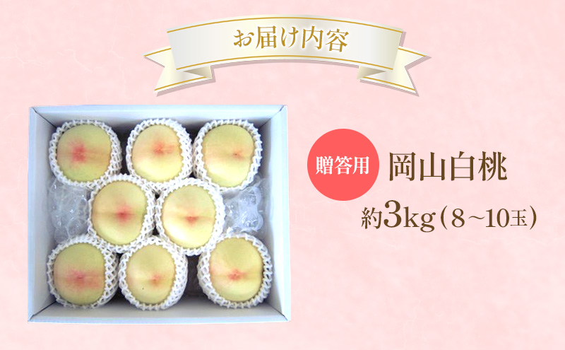 桃 2026年 先行受付 贈答用 岡山 白桃 約3kg (8～10玉) フルーツ 果物 岡山 赤磐市