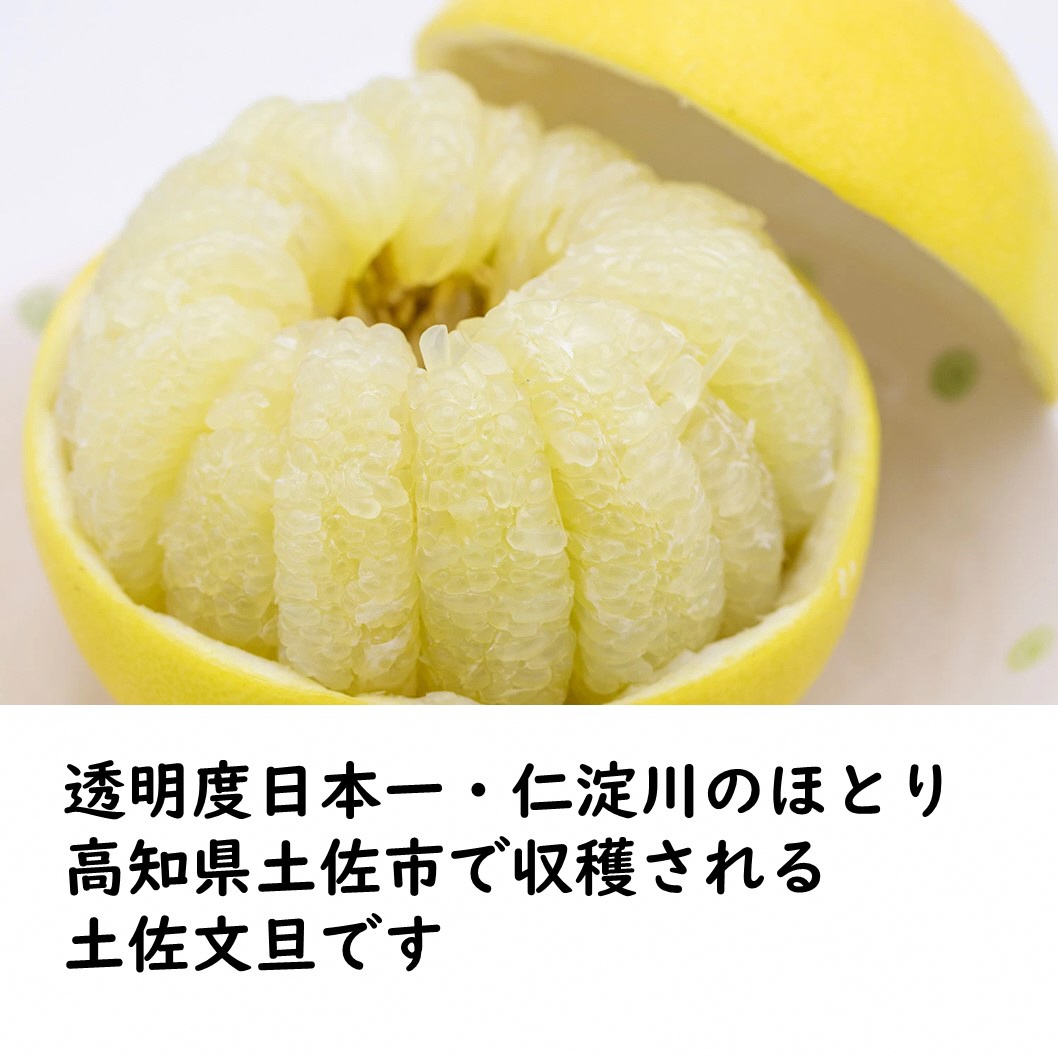 生産者直送　土佐文旦9.5kg[2L～4L]
