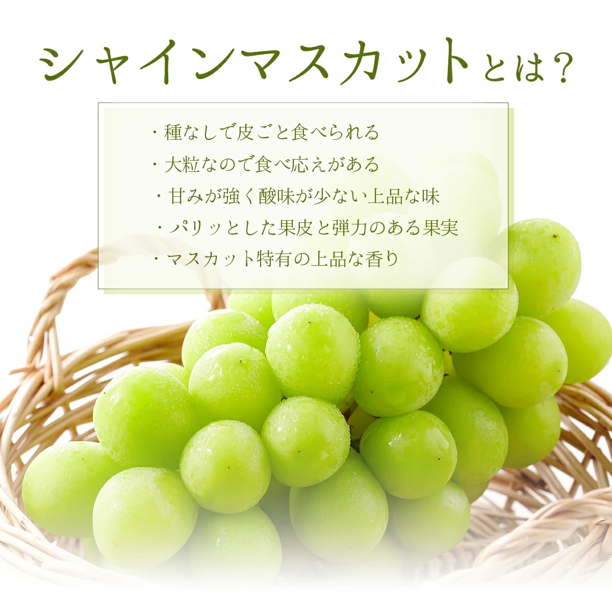 岡山県鏡野町のふるさと納税 【2026年発送分 先行予約】岡山県産 シャインマスカット 1.2kg以上（2～3房）【ご家庭用】【025-a035】