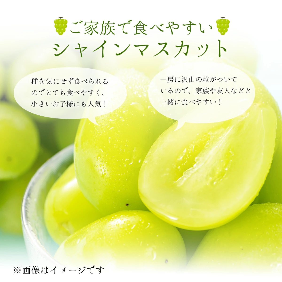 岡山県鏡野町のふるさと納税 【2026年発送分 先行予約】岡山県産 シャインマスカット 1.2kg以上（2～3房）【ご家庭用】【025-a035】