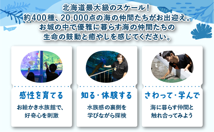 登別マリンパークニクス 入場券年間パスポート 子ども 1名 【 チケット 北海道 観光 旅行 体験 パーク 入場券 入園券 割引 北海道 水族館 動物園 イルカ アシカ ペンギン パレード】mr-0895
