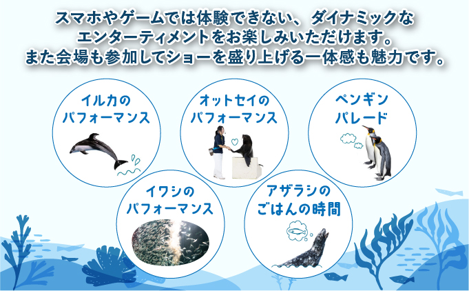 登別マリンパークニクス 入場券年間パスポート 大人 1名 【 チケット 北海道 観光 旅行 体験 パーク 入場券 入園券 割引 北海道 水族館 動物園 イルカ アシカ ペンギン パレード】mr-0896