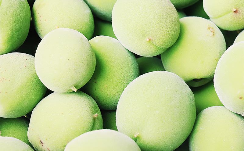 THE NORTHERN LIMIT（3本セット）お酒　甘味　果実酒　発泡酒