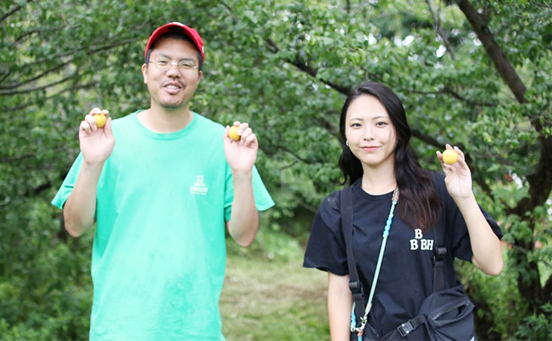 THE NORTHERN LIMIT（6本セット）お酒　甘味　果実酒　発泡酒