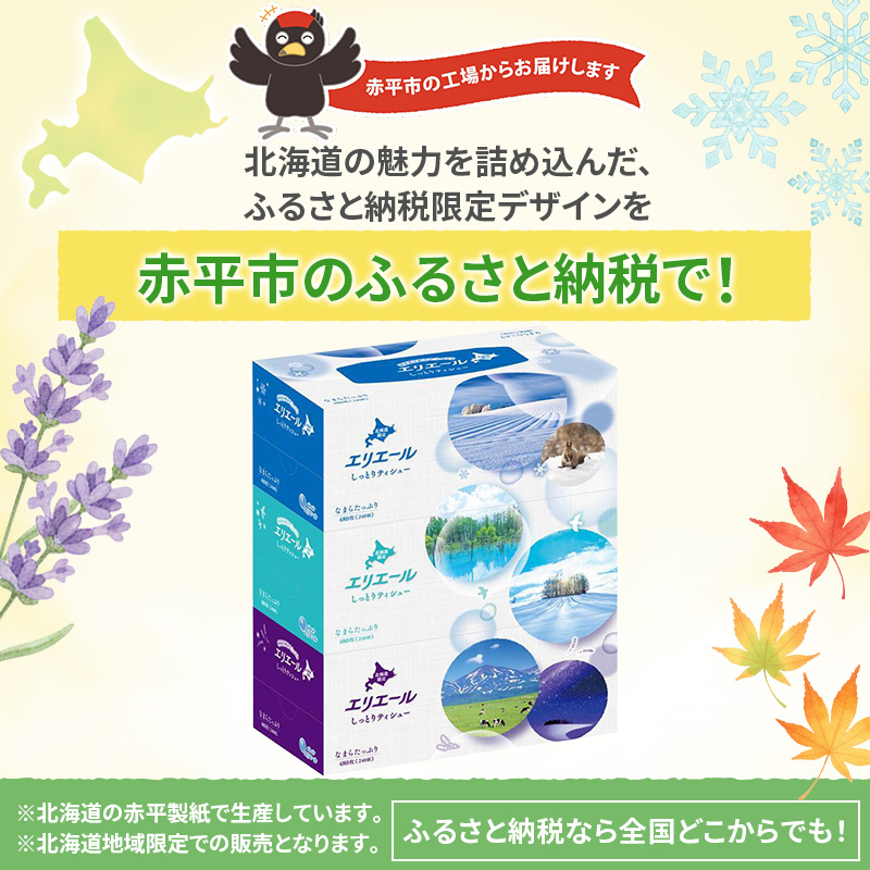 【定期便 3ヵ月連続お届け】 エリエール ハーフサイズ 収納に便利 コンパクト 少量5パック 北海道 しっとりティシュー なまらたっぷり 240組3箱 5パック 計15箱 ボックスティシュー ふるさと納税限定デザイン