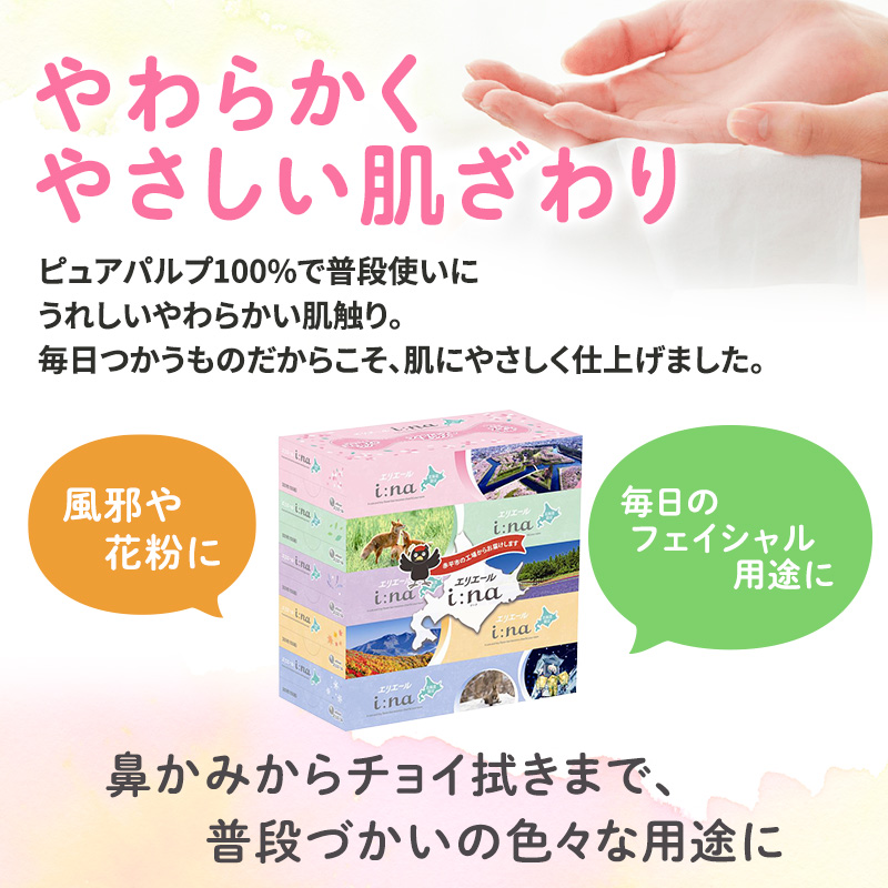 エリエール ハーフサイズ 収納に便利 コンパクト 少量6パック i:na 北海道 ティシュー 150組 5箱 6パック 計30箱 フィルムレス ふるさと納税限定デザイン イーナ ボックスティシュー 箱ティッシュ ペーパー 備蓄品
