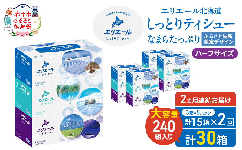 【定期便 2ヵ月連続お届け】 エリエール ハーフサイズ 収納に便利 コンパクト 少量5パック 北海道 しっとりティシュー なまらたっぷり 240組3箱 5パック 計15箱 ボックスティシュー ふるさと納税限定デザイン