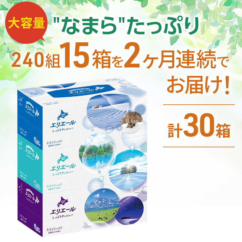 【定期便 2ヵ月連続お届け】 エリエール ハーフサイズ 収納に便利 コンパクト 少量5パック 北海道 しっとりティシュー なまらたっぷり 240組3箱 5パック 計15箱 ボックスティシュー ふるさと納税限定デザイン