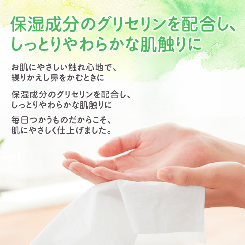 【定期便 2ヵ月連続お届け】 エリエール ハーフサイズ 収納に便利 コンパクト 少量5パック 北海道 しっとりティシュー なまらたっぷり 240組3箱 5パック 計15箱 ボックスティシュー ふるさと納税限定デザイン