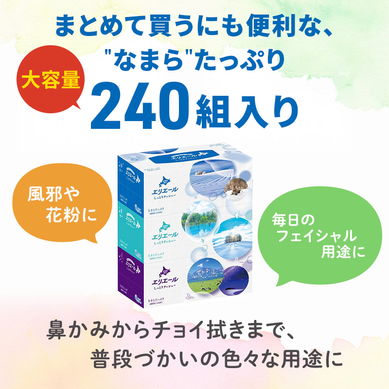 【定期便 2ヵ月連続お届け】 エリエール ハーフサイズ 収納に便利 コンパクト 少量5パック 北海道 しっとりティシュー なまらたっぷり 240組3箱 5パック 計15箱 ボックスティシュー ふるさと納税限定デザイン
