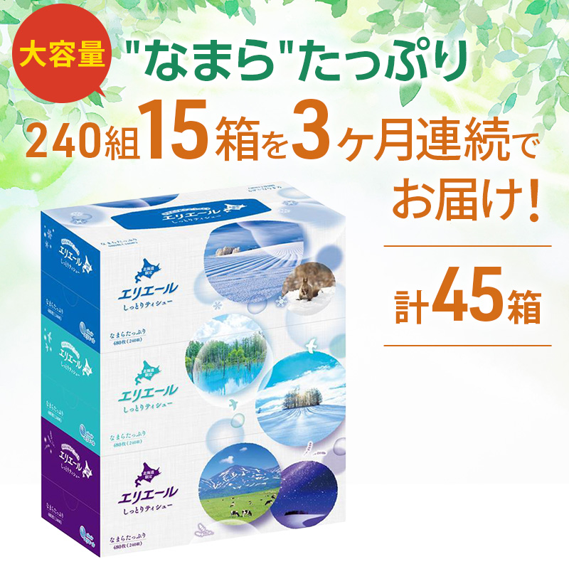 【定期便 3ヵ月連続お届け】 エリエール ハーフサイズ 収納に便利 コンパクト 少量5パック 北海道 しっとりティシュー なまらたっぷり 240組3箱 5パック 計15箱 ボックスティシュー ふるさと納税限定デザイン