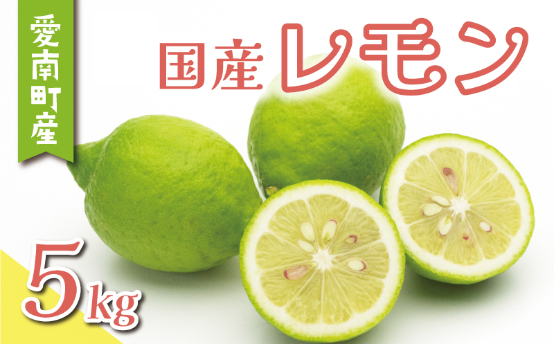 yQ쒬zʌ  5kg 8000~ k TCY s ƒp EG Y t[c ʕ ʎ Yn _ƒ Ԍ Yi ˓ bNX h sgp L@͔| ʏ` lC VN l[h  | \[X ݂͂ P[L 