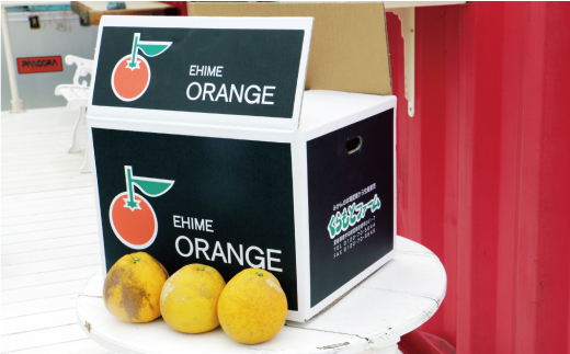 数量限定 先行予約 河内晩柑 樹齢 20年以上 9kg （ Lサイズ 以上 ） 12000円 みかん mikan 蜜柑 ミカン かわちばんかん 愛南ゴールド あいなん ゴールド 文旦 派生 和製 グレープフルーツ 家庭用 産地直送 国産 農家直送 期間限定 特産品 ゼリー ジュース アイス 等に 人気 限定 甘い さわやか フルーツ 果物 柑橘 蜜柑 くらもとファーム 愛南町 愛媛県