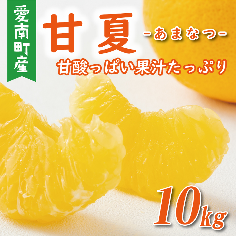 先行予約 甘夏 10kg 10000円 樹齢25年 以上 みかん mikan 蜜柑 あまなつ 夏みかん グレープフルーツ だいだい 家庭用 事前 予約 受付 産地直送 国産 農家直送 糖度 期間限定 数量限定 特産品 ゼリー マーマレード ピール ジュース 等に デザート 人気 限定 おいしい フルーツ 果物 柑橘 美味しい サイズ ミックス 減農薬 くらもとファーム 愛南町 愛媛県
