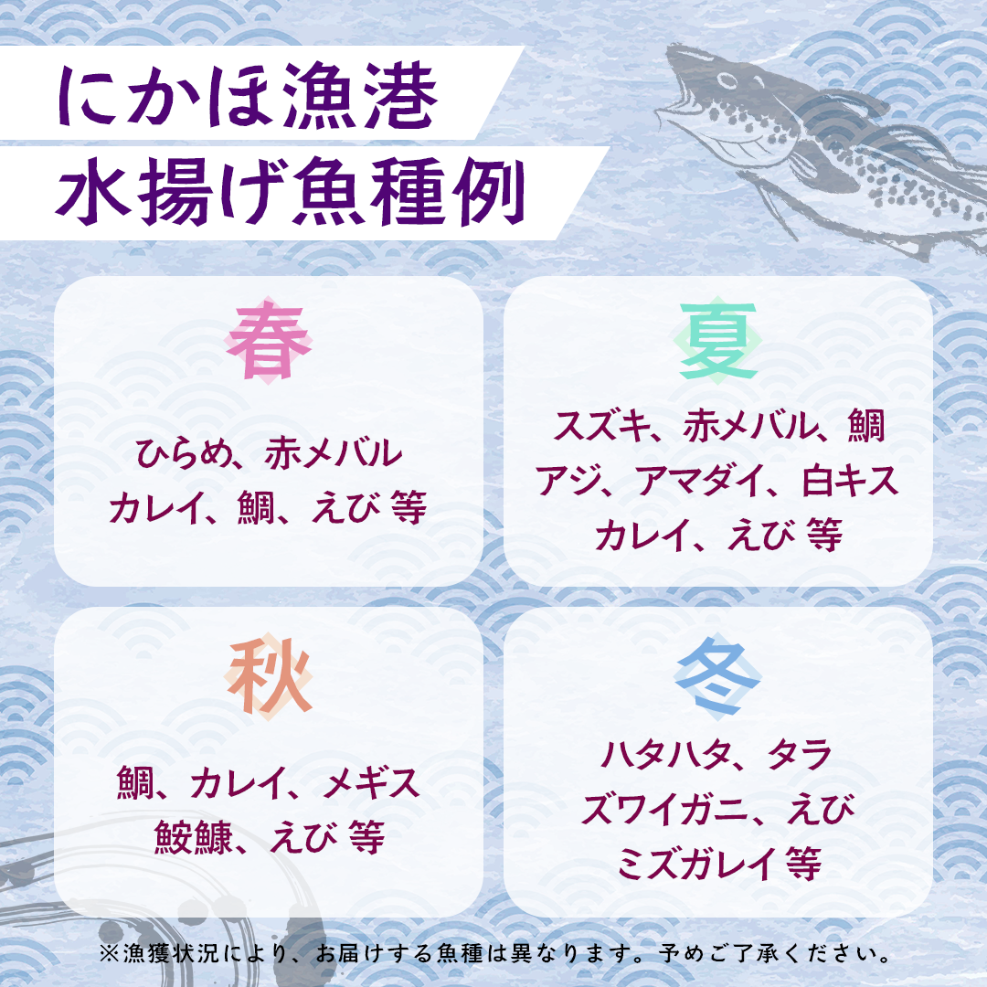 鮮魚 冷蔵 クール便「 開けたらすぐ食べられる下処理済み 海産物 2～3人前 セット 」さとう鮮魚店【 パック 詰め合わせ 海鮮セット 鮮魚ボックス 海鮮 海の幸 魚介 魚介類 刺身 切り身  秋田県 にかほ 】